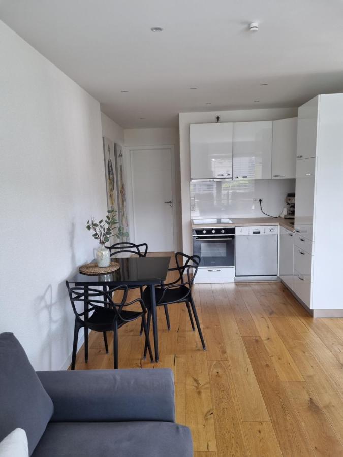 Ella'S Lounge - Besonders Geniessen Apartment Singen Luaran gambar